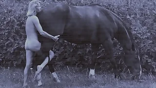 71 vintage porn videos
